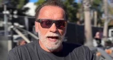 Arnold Schwarzenegger provided tips and a cure for hangovers.