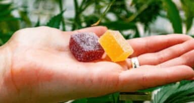 Are Creatine Chewables a Good Way to Consume Creatine?