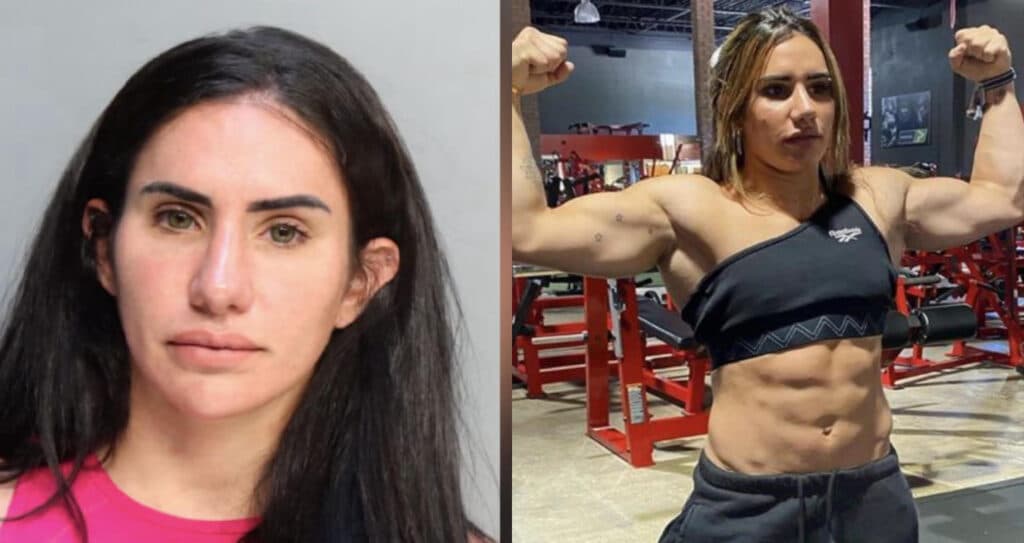 stefi cohen arrested