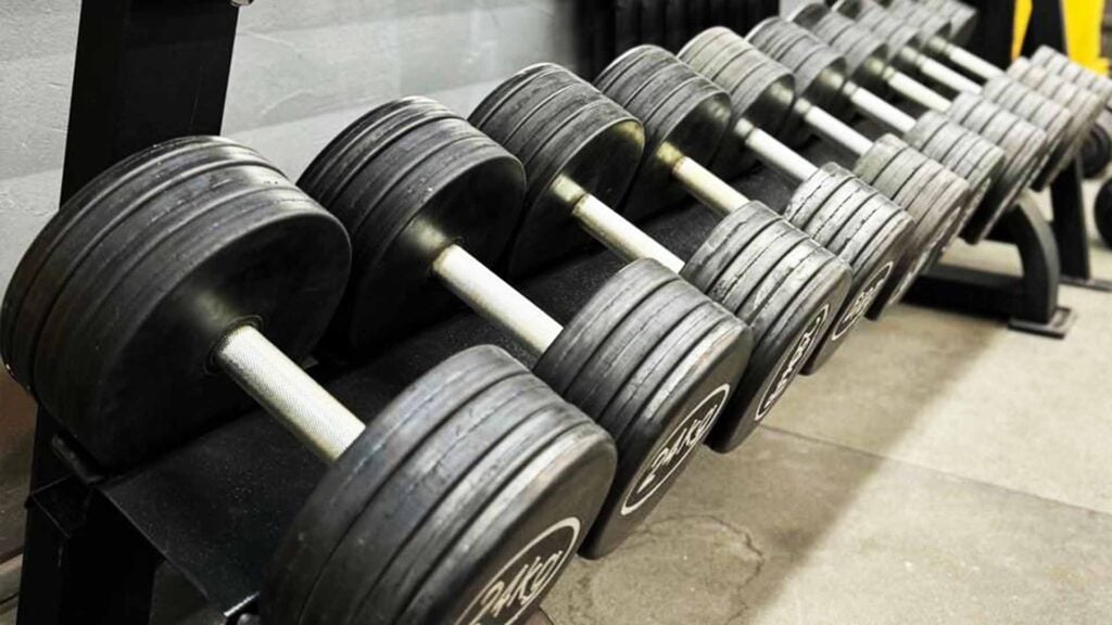 dumbbells