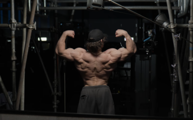 sam sulek lat workout