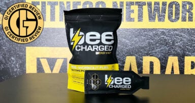 Bee Charged Energy Review